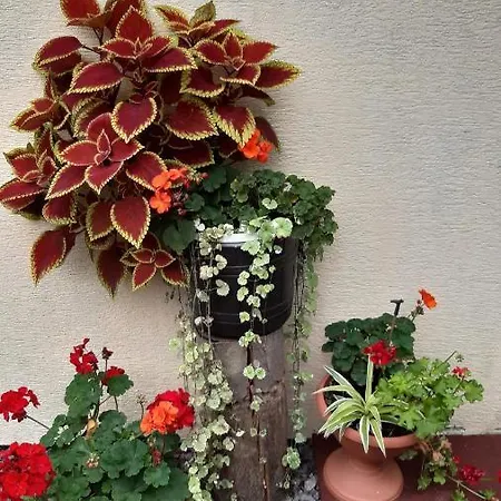 Διαμέρισμα Bike 3 Hodruša