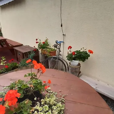 Bike 3 Διαμέρισμα *